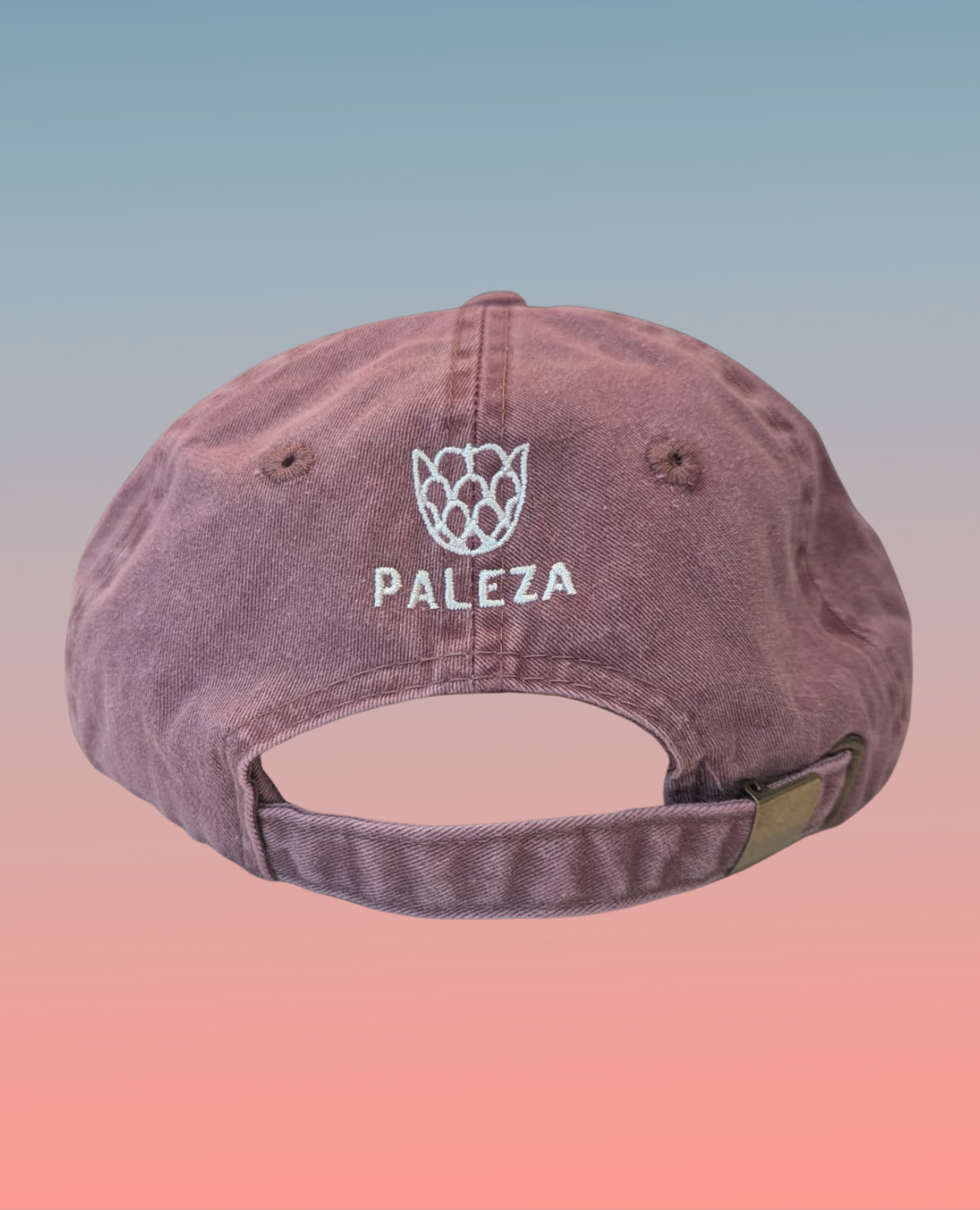 USA Women's Sports Baseball Cap (Adult)